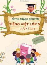 Bộ đề thi trạng nguyên Tiếng Việt Lớp 5 cấp tỉnh (Có đáp án)